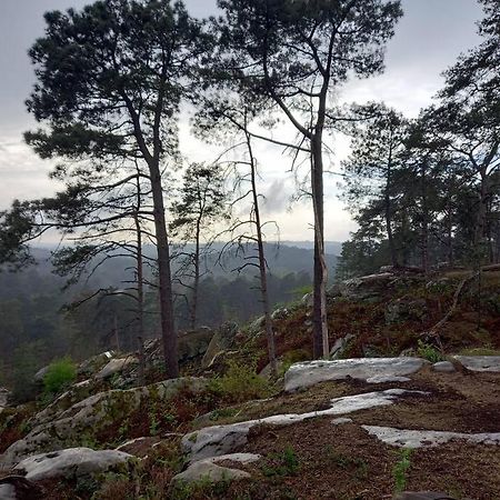 Gite Les Petites Bruyeres Veneux-les-Sablons Dış mekan fotoğraf