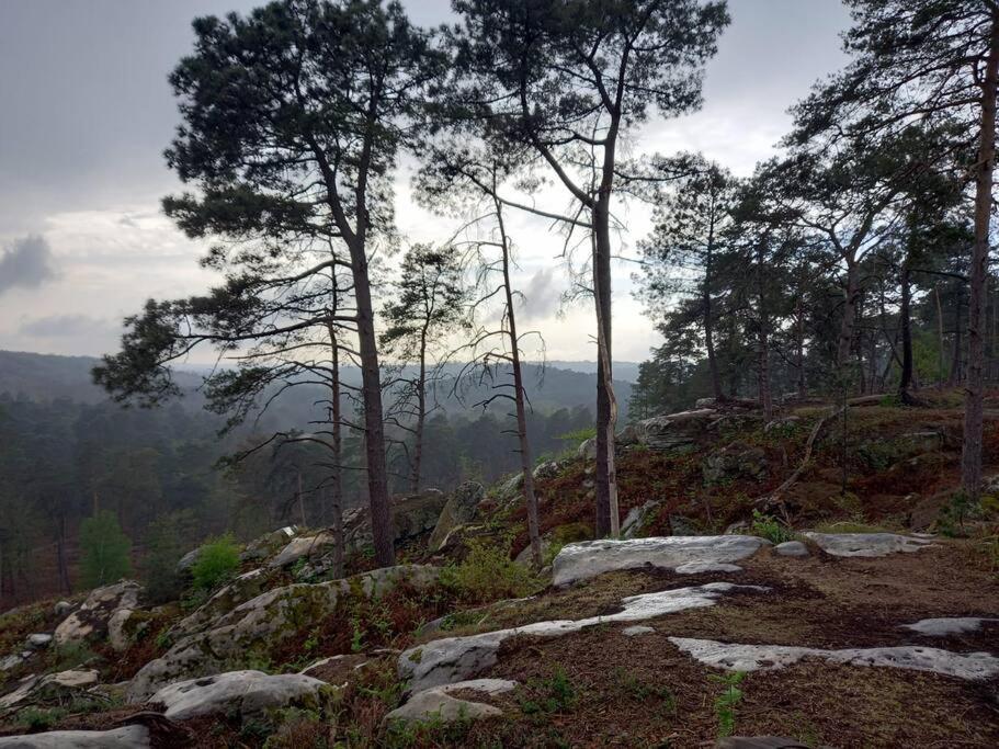 Gite Les Petites Bruyeres Veneux-les-Sablons Dış mekan fotoğraf